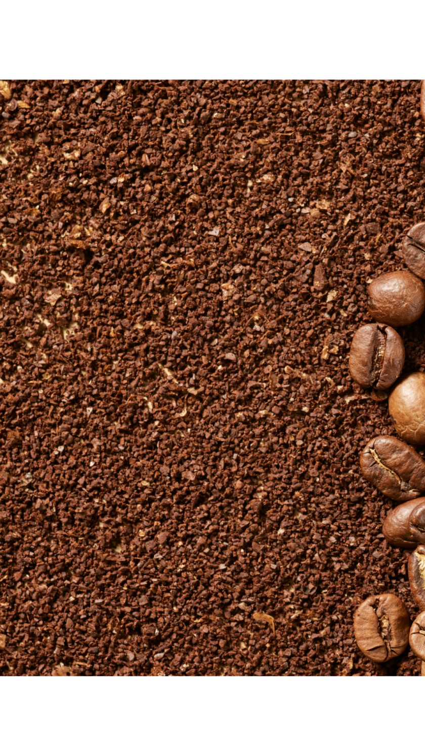 entre copas y tazas_febrero (2)