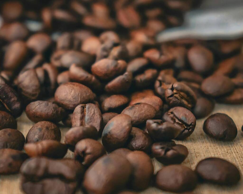 grano de especialidad