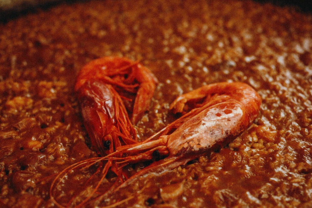 Plato Roto Arroz